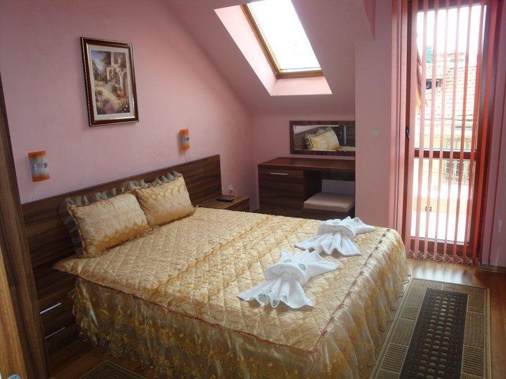 Tzvetelina Palace Hotel Dolna Banya Room photo