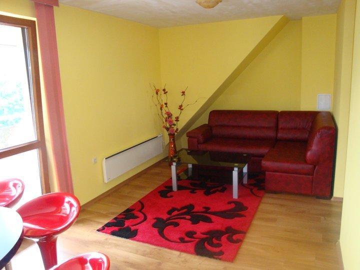 Tzvetelina Palace Hotel Dolna Banya Room photo