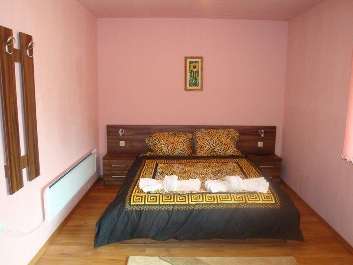 Tzvetelina Palace Hotel Dolna Banya Room photo