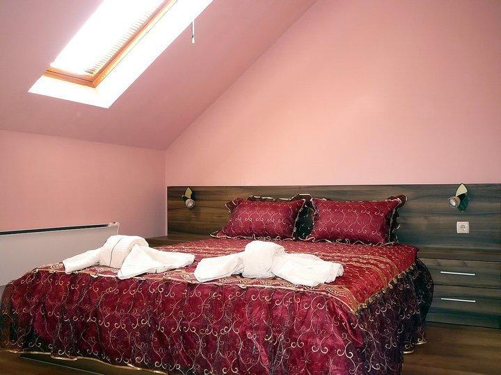 Tzvetelina Palace Hotel Dolna Banya Room photo