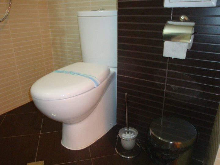 Tzvetelina Palace Hotel Dolna Banya Room photo