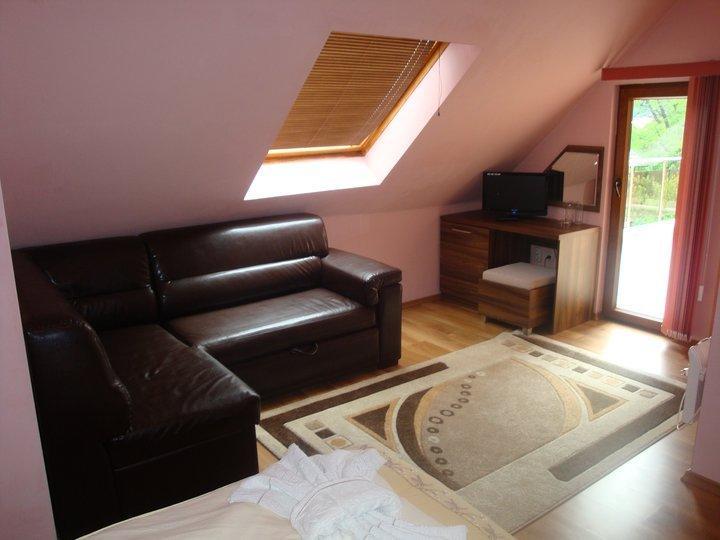 Tzvetelina Palace Hotel Dolna Banya Room photo