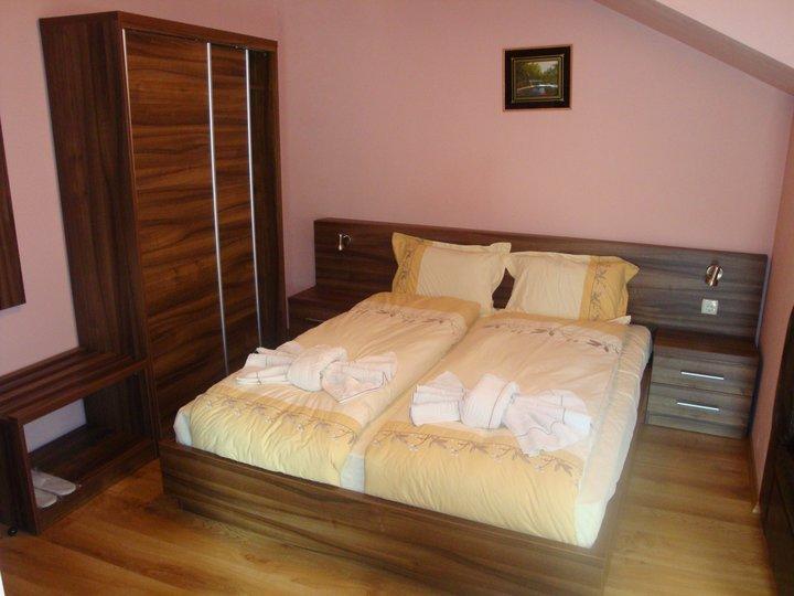 Tzvetelina Palace Hotel Dolna Banya Room photo