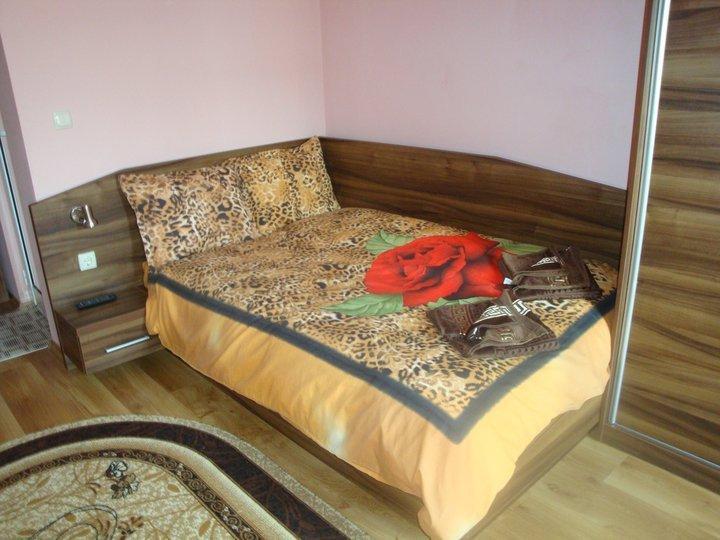Tzvetelina Palace Hotel Dolna Banya Room photo