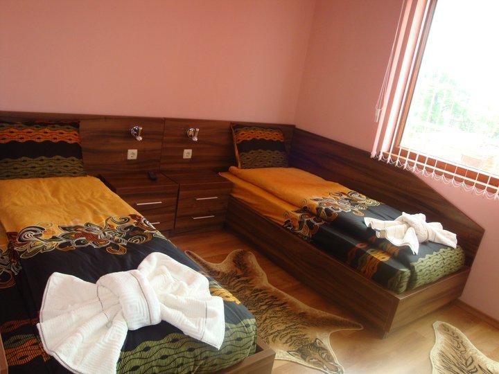 Tzvetelina Palace Hotel Dolna Banya Room photo