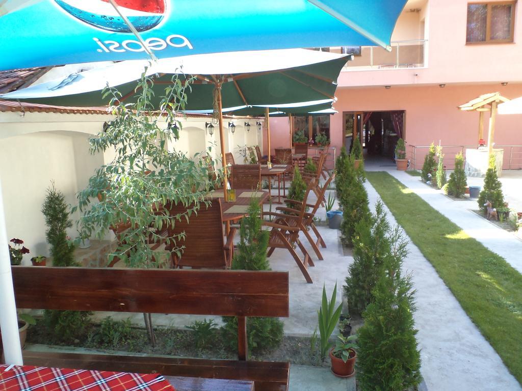 Tzvetelina Palace Hotel Dolna Banya Exterior photo