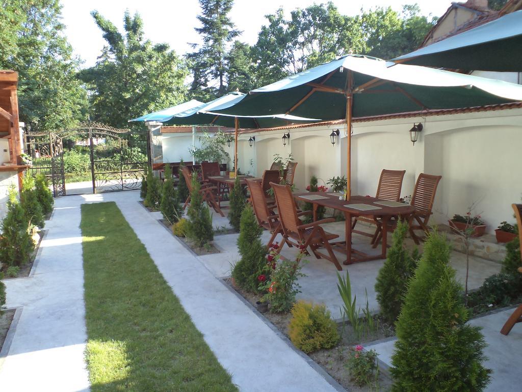 Tzvetelina Palace Hotel Dolna Banya Exterior photo